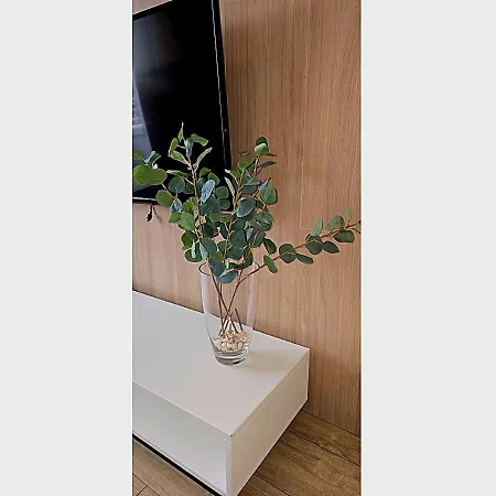 Apartment Lumina Ovo2